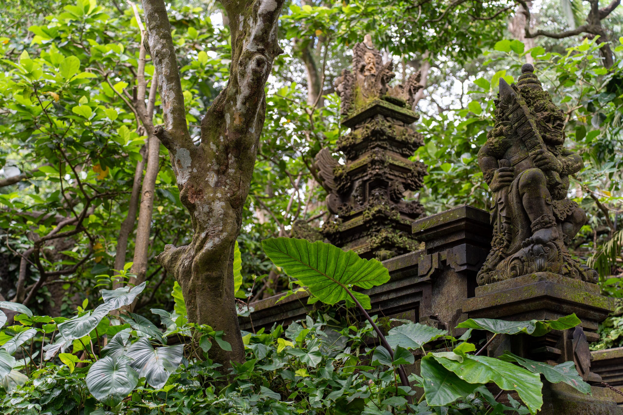 Visite d'un temple Bali